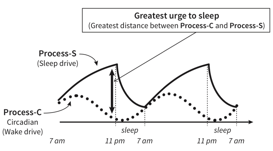Booksimages52-_Why_We_Sleep.jpeg